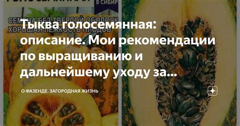 Рекомендации по дальнейшему использованию конвертированного приложения