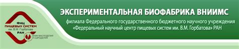 Рекомендации по использованию сметаны для котов