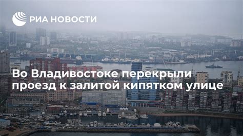 Рецепт залитой кипятком петрушки