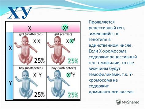 Рецессивные и доминантные гены