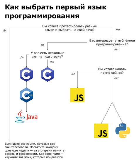 Решение: какой язык программирования выбрать?