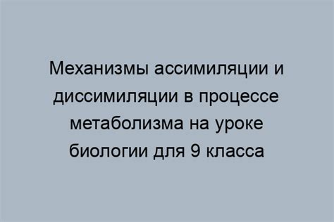 Роль ассимиляции в жизни организма