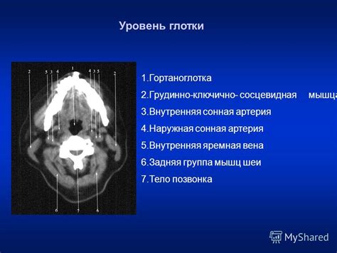 Роль буквы N в диагностике опухолей