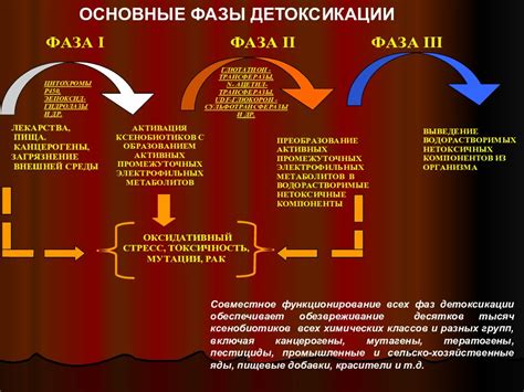 Роль внешних факторов в создании лунок