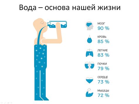 Роль воды в жизни человека: факты и исследования