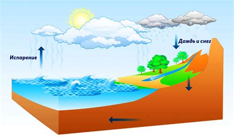 Роль воды в процессе