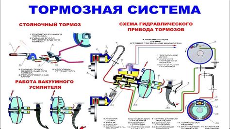 Роль в тормозной системе