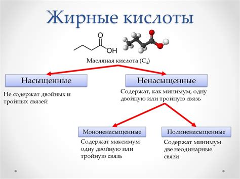 Роль жирных кислот