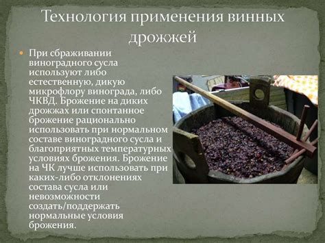 Роль используемых дрожжей