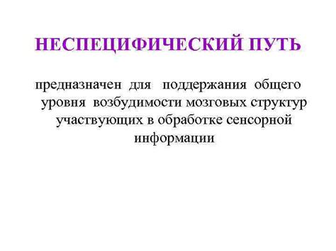 Роль мозговых регионов в переработке сенсорной информации