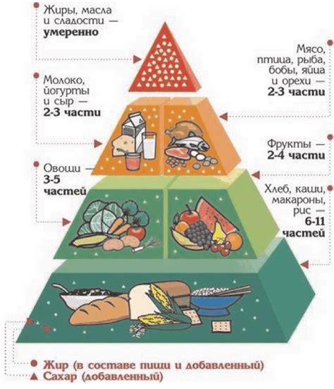 Роль питания в формировании жира