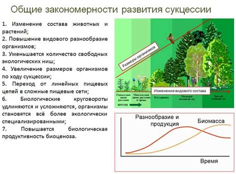 Роль сукцессии в экосистеме