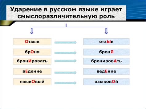 Роль ударения в правописании