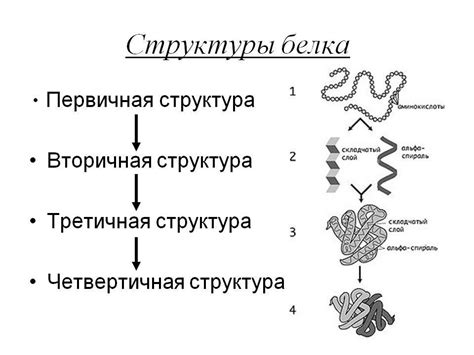 Роль четвертичной структуры