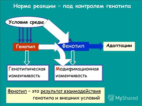 Сапонификация: формирование мыла под влиянием условий