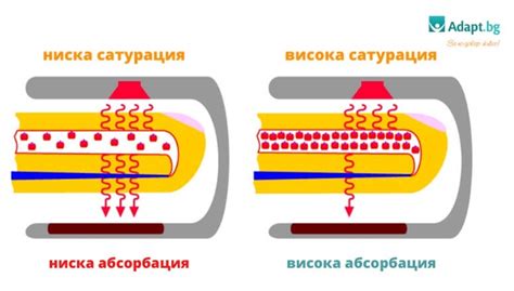 Сатурация: определение, значение и способы измерения