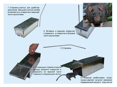 Сборка крысоловки