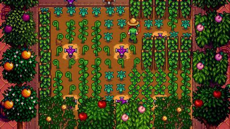 Сбор урожая хмеля в Stardew Valley