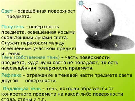 Свет и тень: отражение общественного мнения