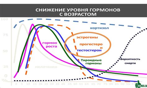 Связь гормона с тренировками