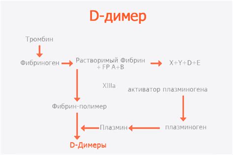 Связь д-димера с заболеваниями