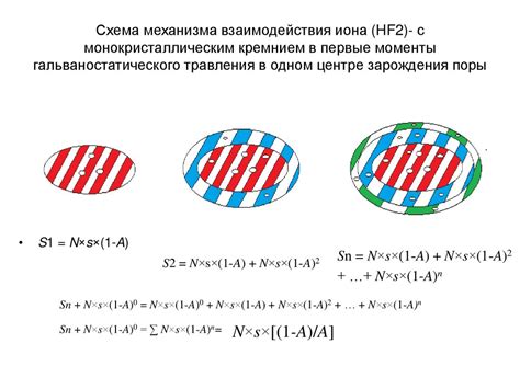 Сезонность формирования колецевых слоев