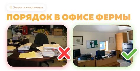 Сезонные работы и поддержание порядка