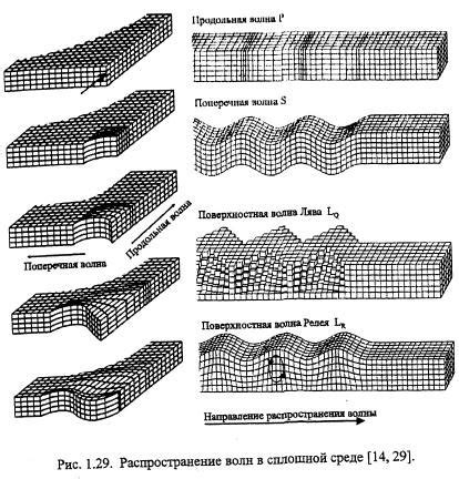 Сейсмические волны и землетрясения