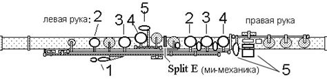 Секретная конструкция флейты