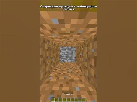 Секретные проходы в Minecraft