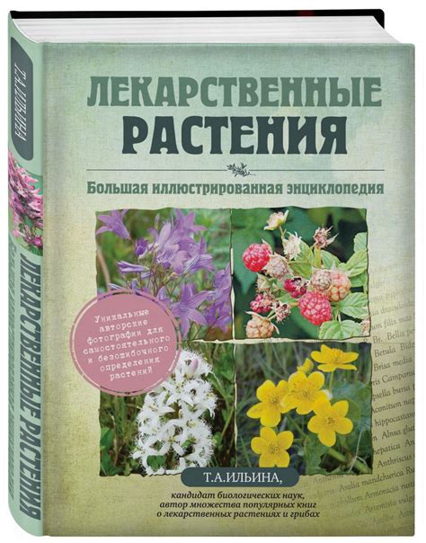 Секреты древнего знания и лекарственные растения