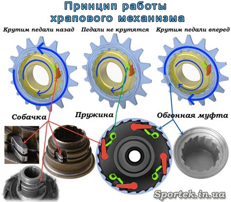 Секреты работы механизма и принцип взаимодействия деталей