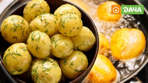 Секреты сохранения вкуса картошки при варке