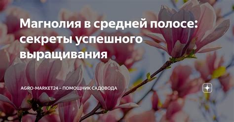 Секреты успешного выращивания камыша