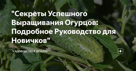 Секреты успешного выращивания овощей