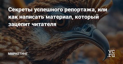 Секреты успешного репортажа