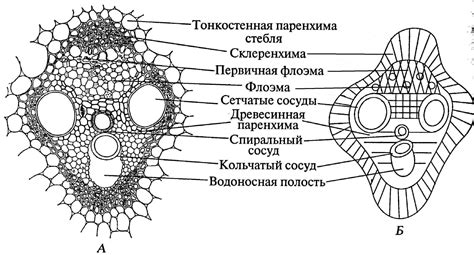 Секреты фиксации бублика в пучке