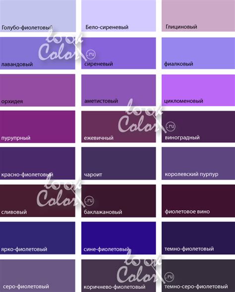 Секрет идеального фиолетового цвета