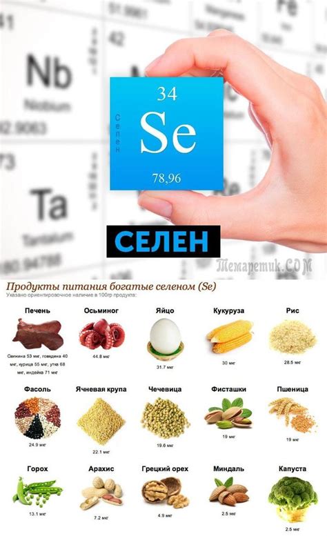 Селен: продукты, богатые этим микроэлементом