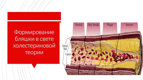 Сердечно-сосудистые проблемы и их влияние