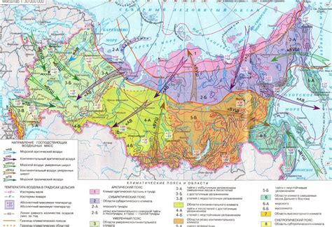 Сибирь: особенности климата и растительности