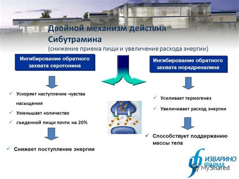 Сибутрамин: механизм действия и эффективность