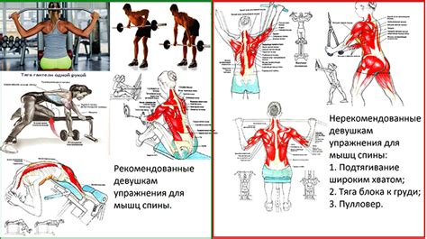 Силовые упражнения отжиманиями