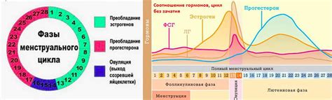 Симптомы кровеизлияний в овуляционном цикле