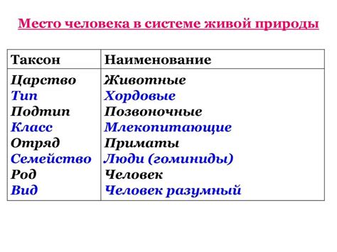 Систематическое саморасследование