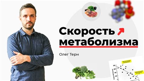 Скорость метаболизма