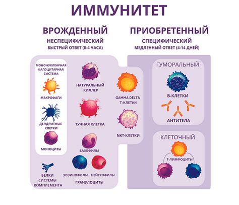 Слабый иммунитет организма