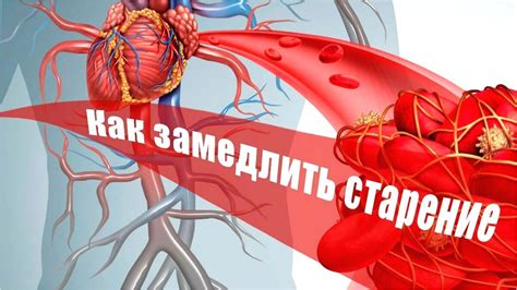 Снижение стресса как фактор улучшения состояния сосудов