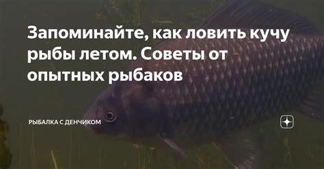 Советы опытных рыбаков