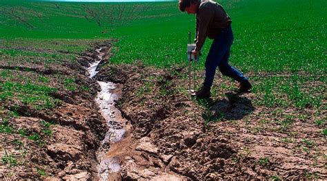 Советы по долгосрочной защите земли от водной эрозии